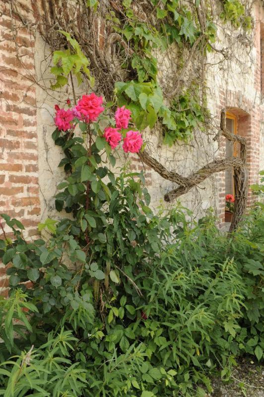 Villa Saint-Malachie à Longchamp-sur-Aujon Extérieur photo